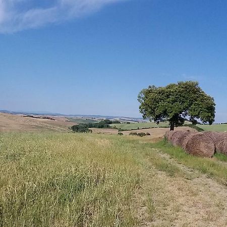 Willa Casa Dei Borghi Murlo Zewnętrze zdjęcie